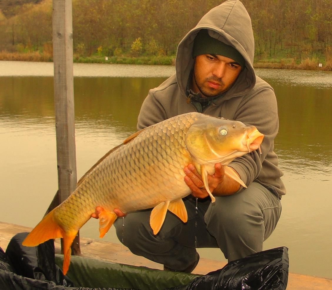 Magura 9 23 - 23 nov.